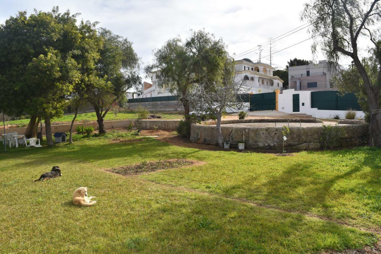 Quinta David