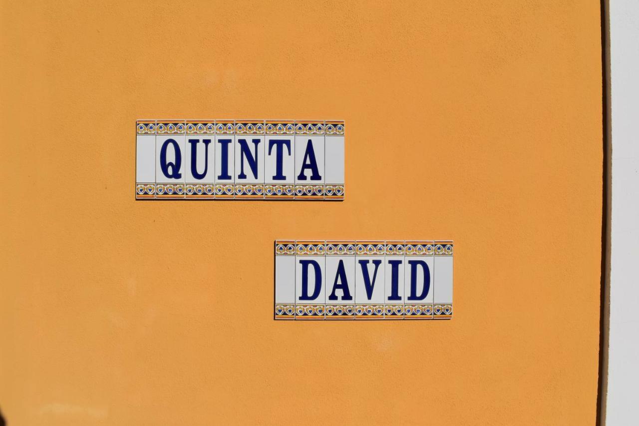 Quinta David